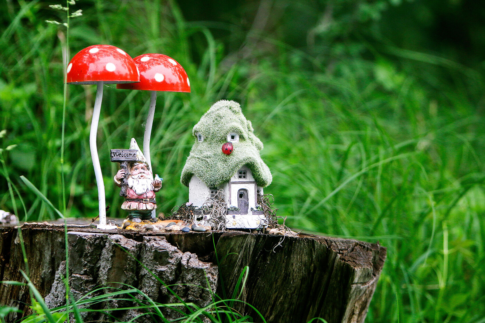 fairy gardens 061322 0213 WEB.jpg